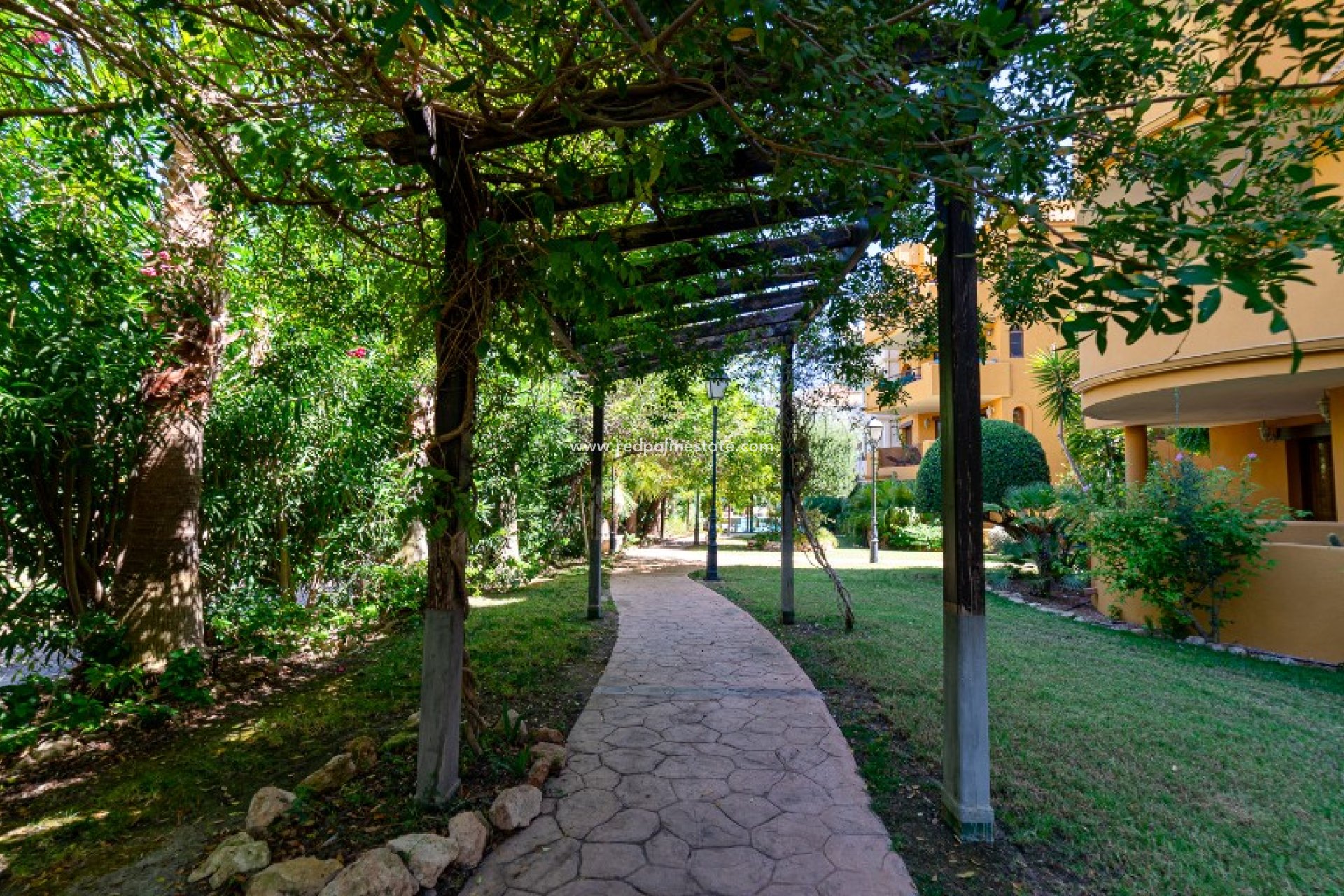 Videresalg - Leilighet -
Torrevieja - Punta prima