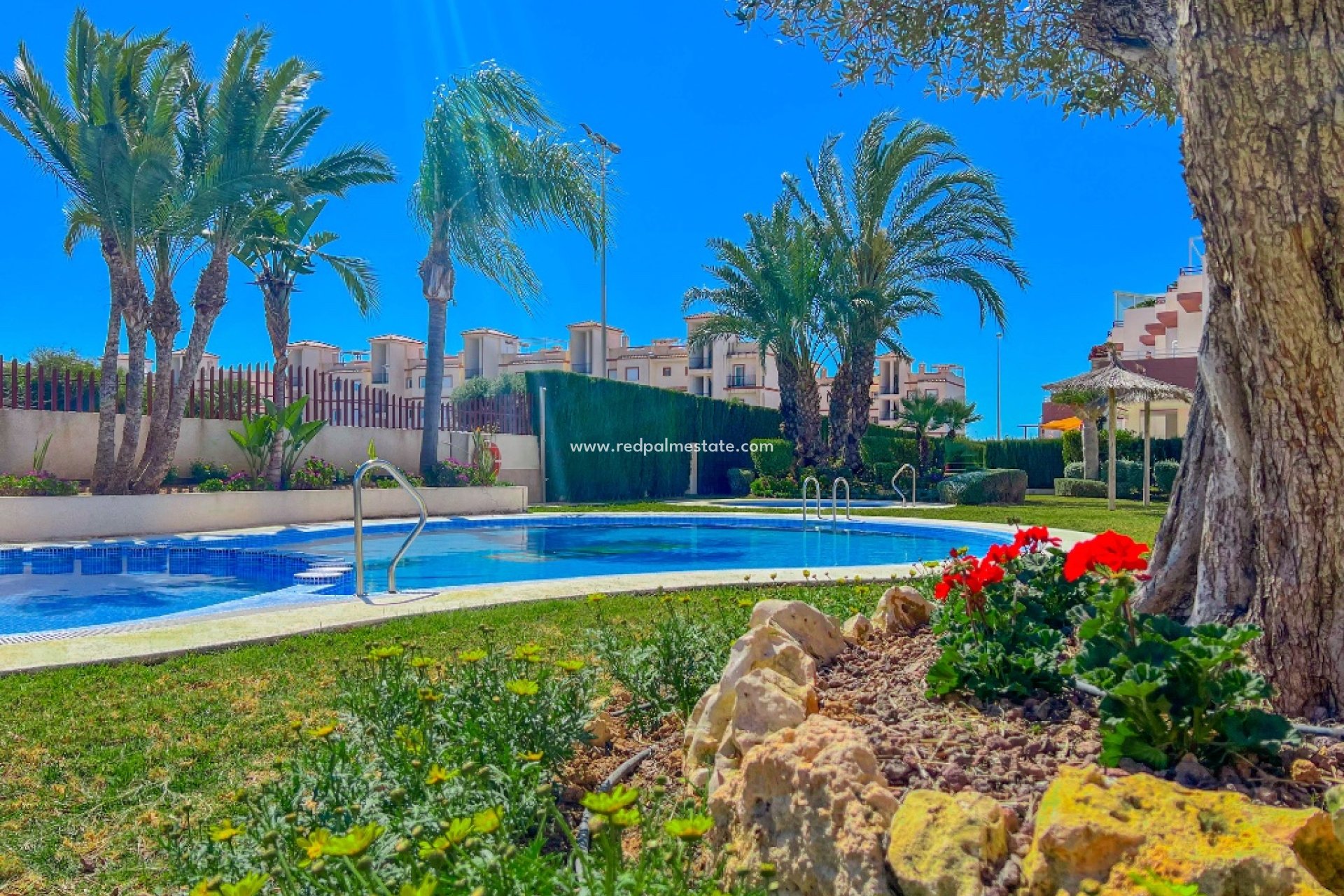 Videresalg - Leilighet -
Torrevieja - Punta prima