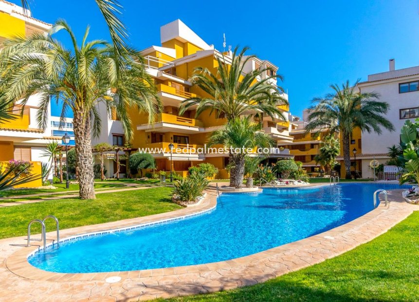 Videresalg - Leilighet -
Torrevieja - Punta prima