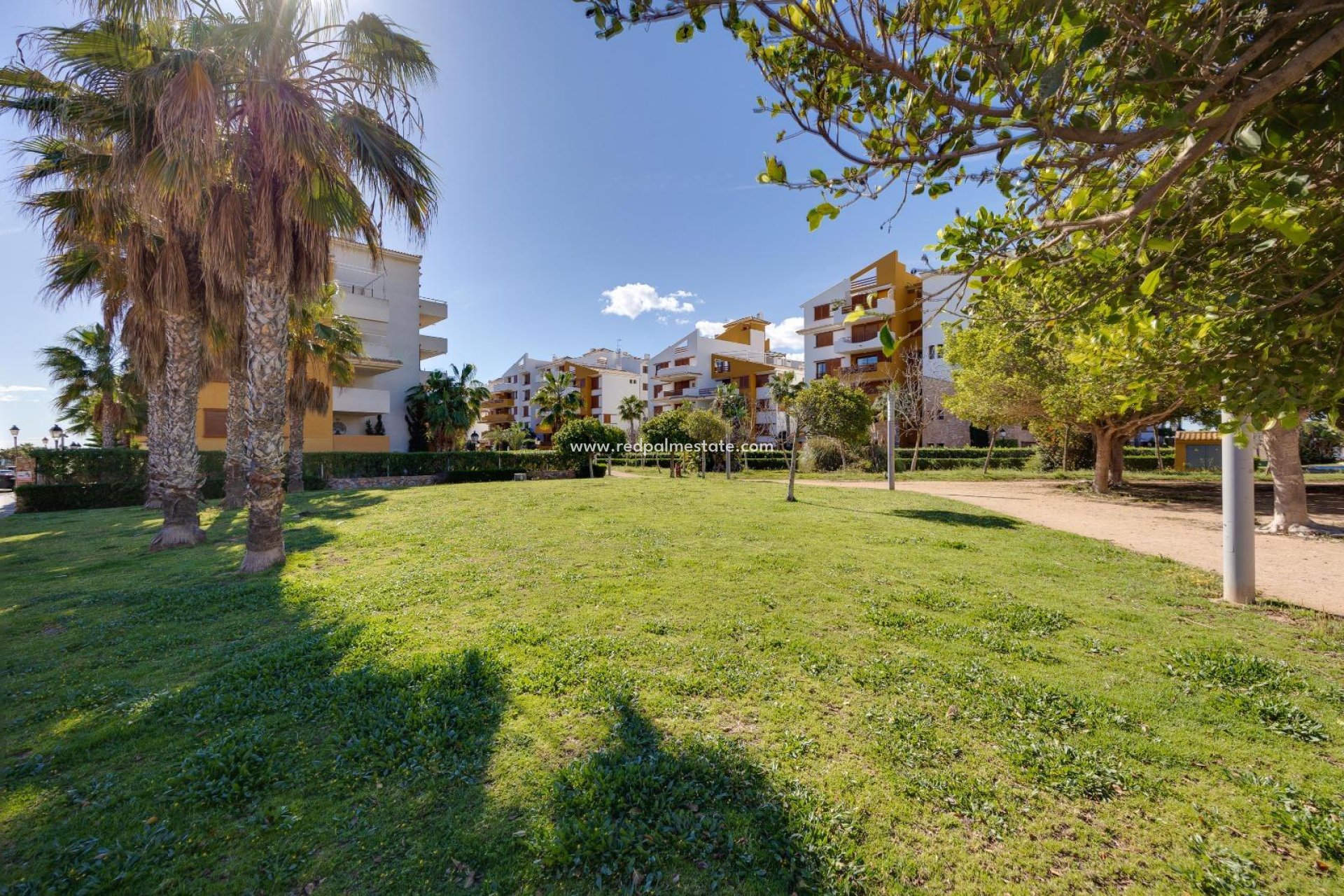 Videresalg - Leilighet -
Torrevieja - Punta prima