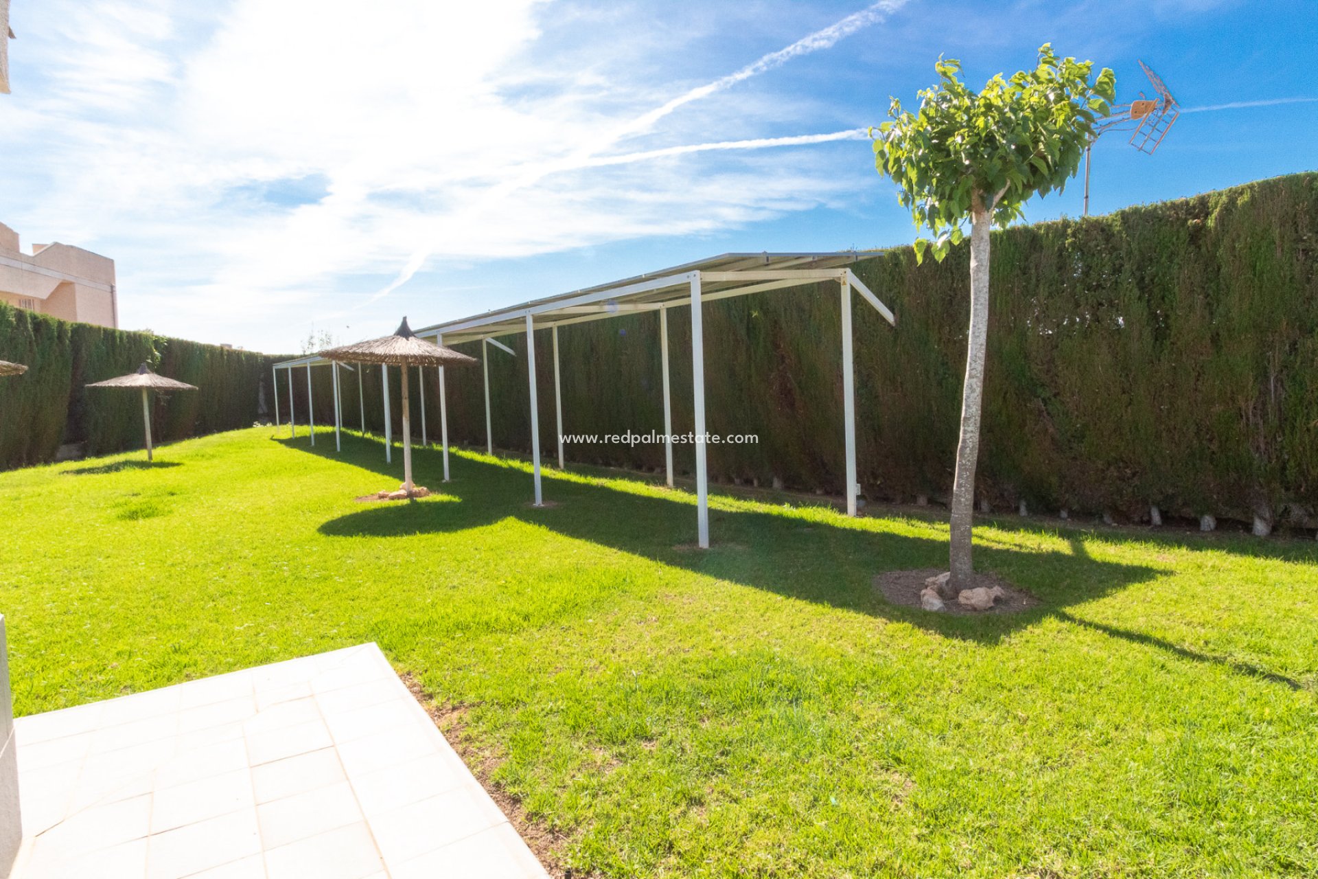 Videresalg - Leilighet -
Torrevieja - San Luis
