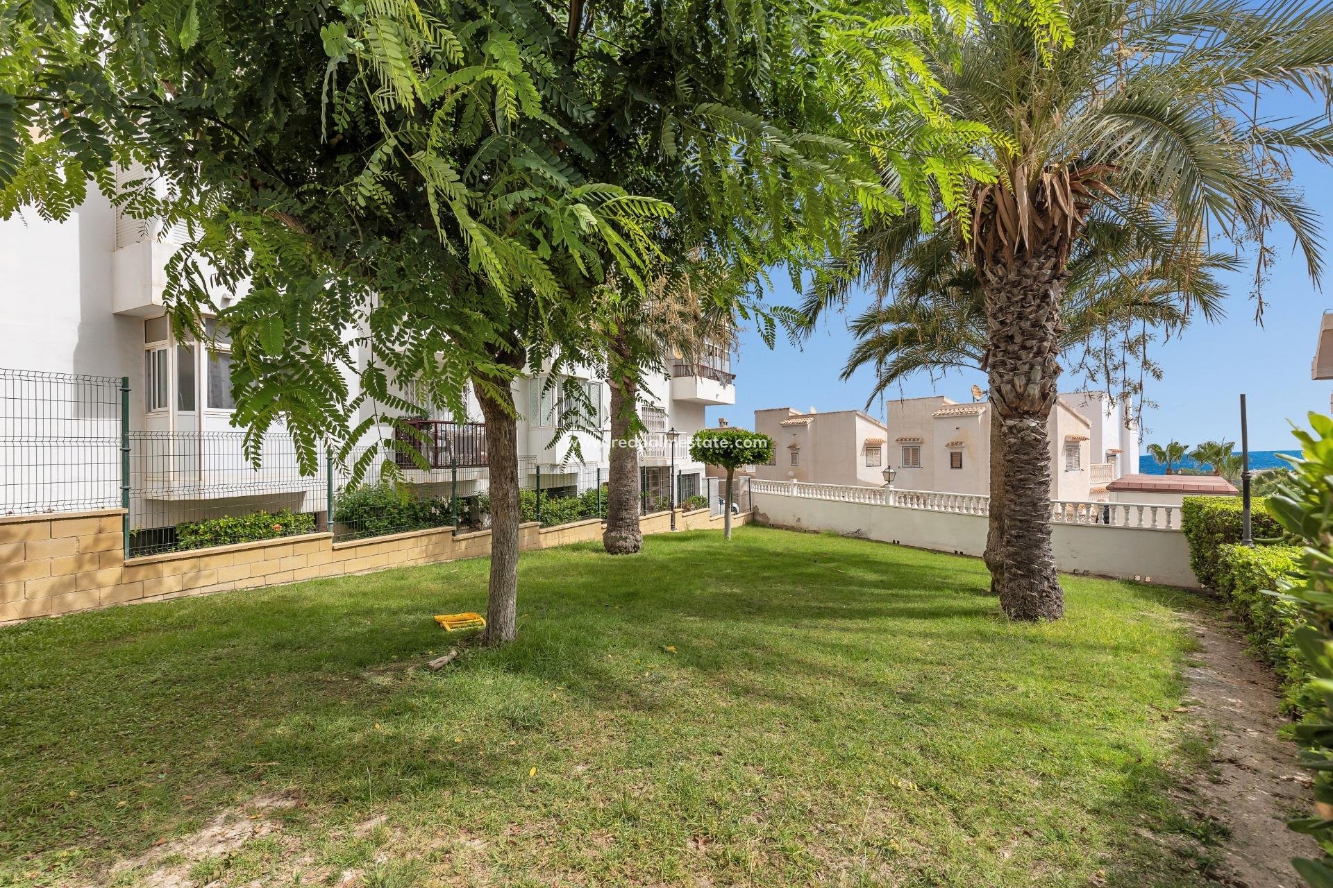 Videresalg - Leilighet -
Torrevieja - Torreblanca