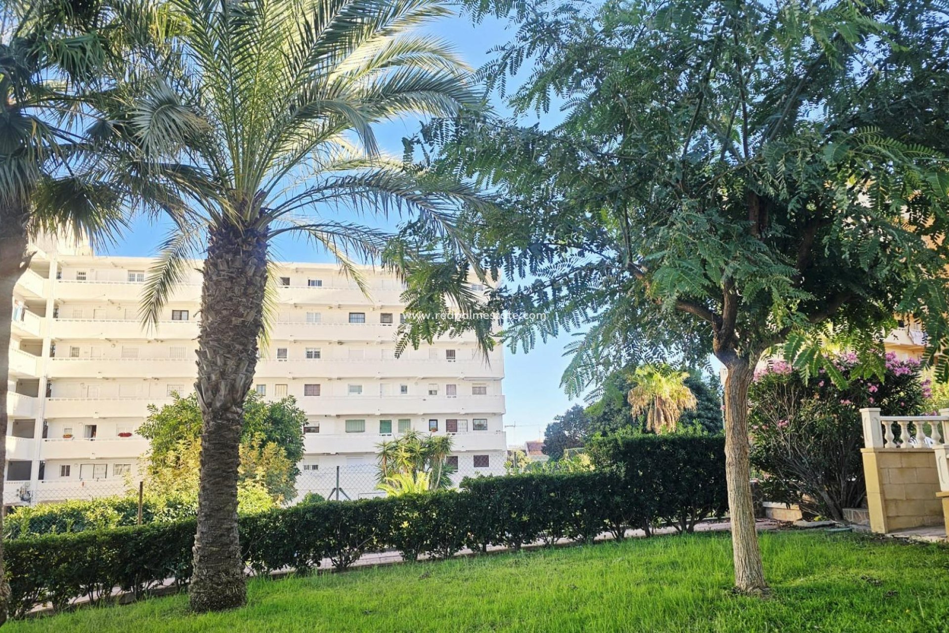 Videresalg - Leilighet -
Torrevieja - Torreblanca