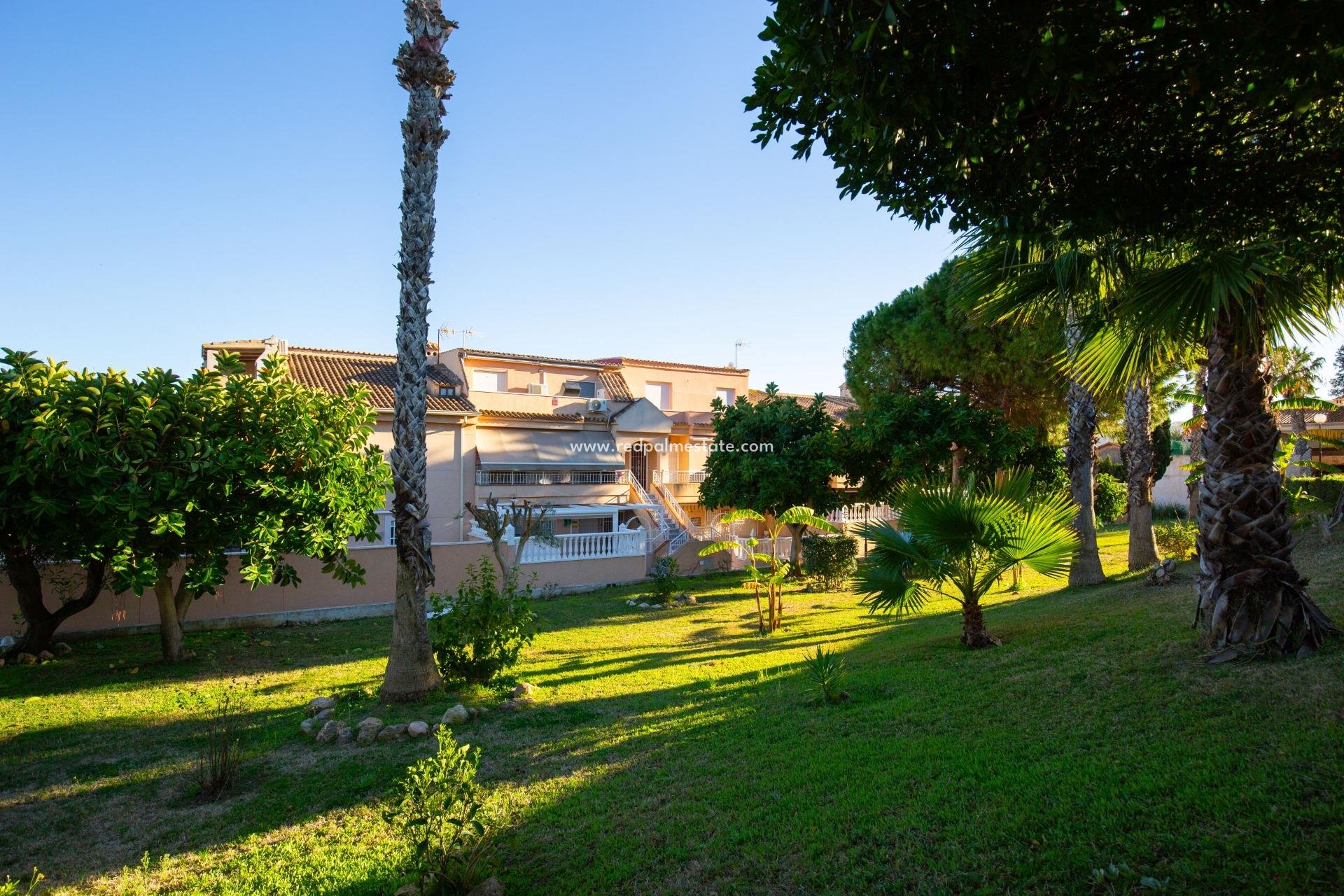 Videresalg - Leilighet -
Torrevieja - Torreblanca