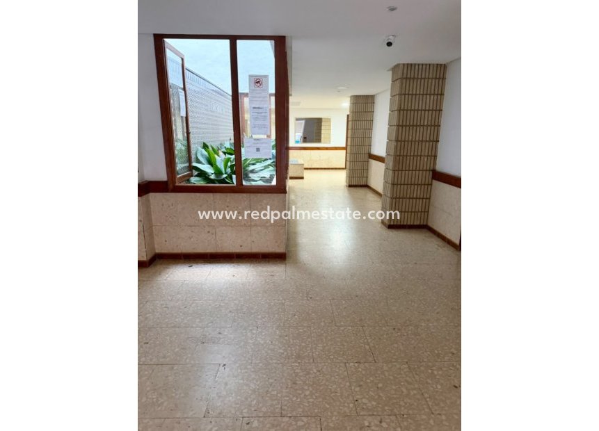 Videresalg - Leilighet -
Torrevieja - Torrevieja Centro