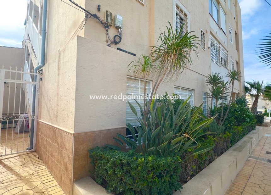 Videresalg - Leilighet -
Torrevieja - Zona Los Frutales