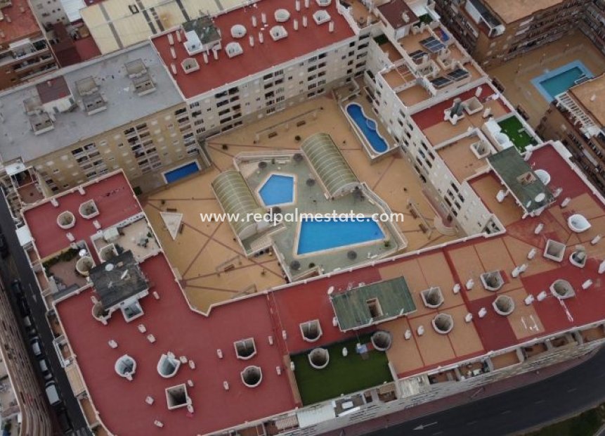 Videresalg - Leilighet -
Torrevieja
