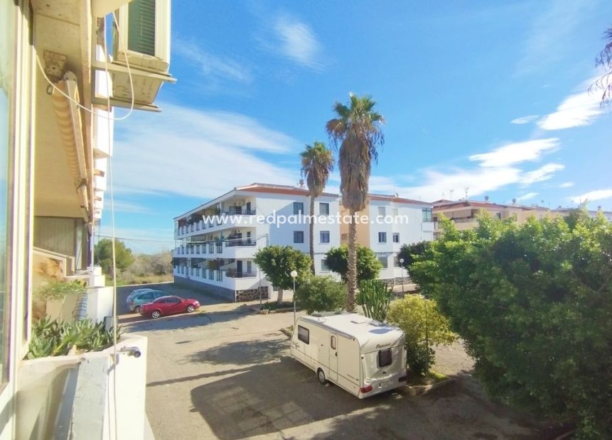 Videresalg - Leilighet -
Torrevieja