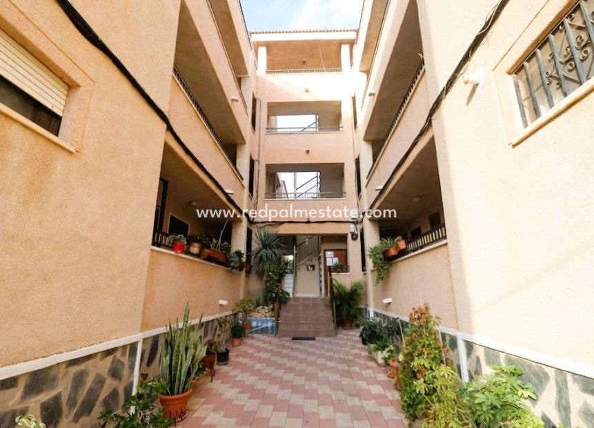 Videresalg - Leilighet -
Torrevieja