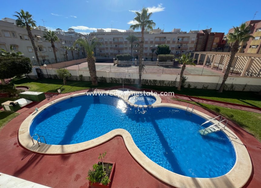 Videresalg - Leilighet -
Torrevieja