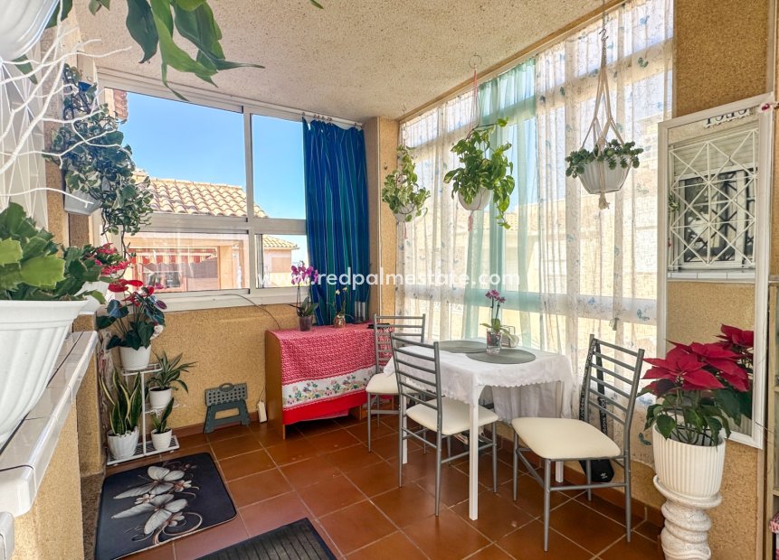 Videresalg - Leilighet -
Torrevieja