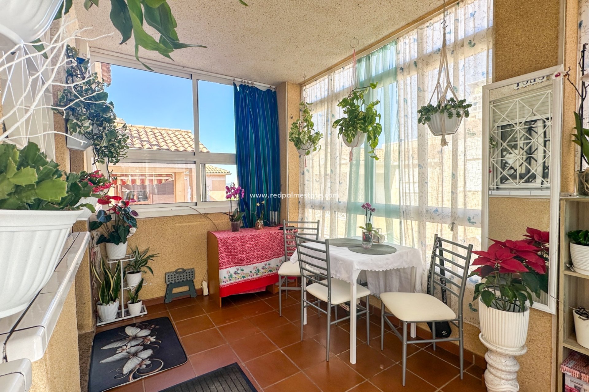 Videresalg - Leilighet -
Torrevieja
