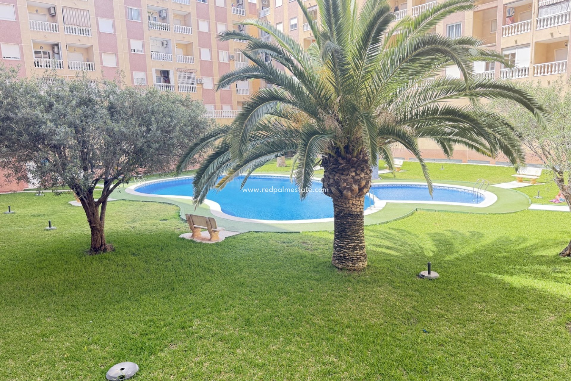 Videresalg - Leilighet -
Torrevieja