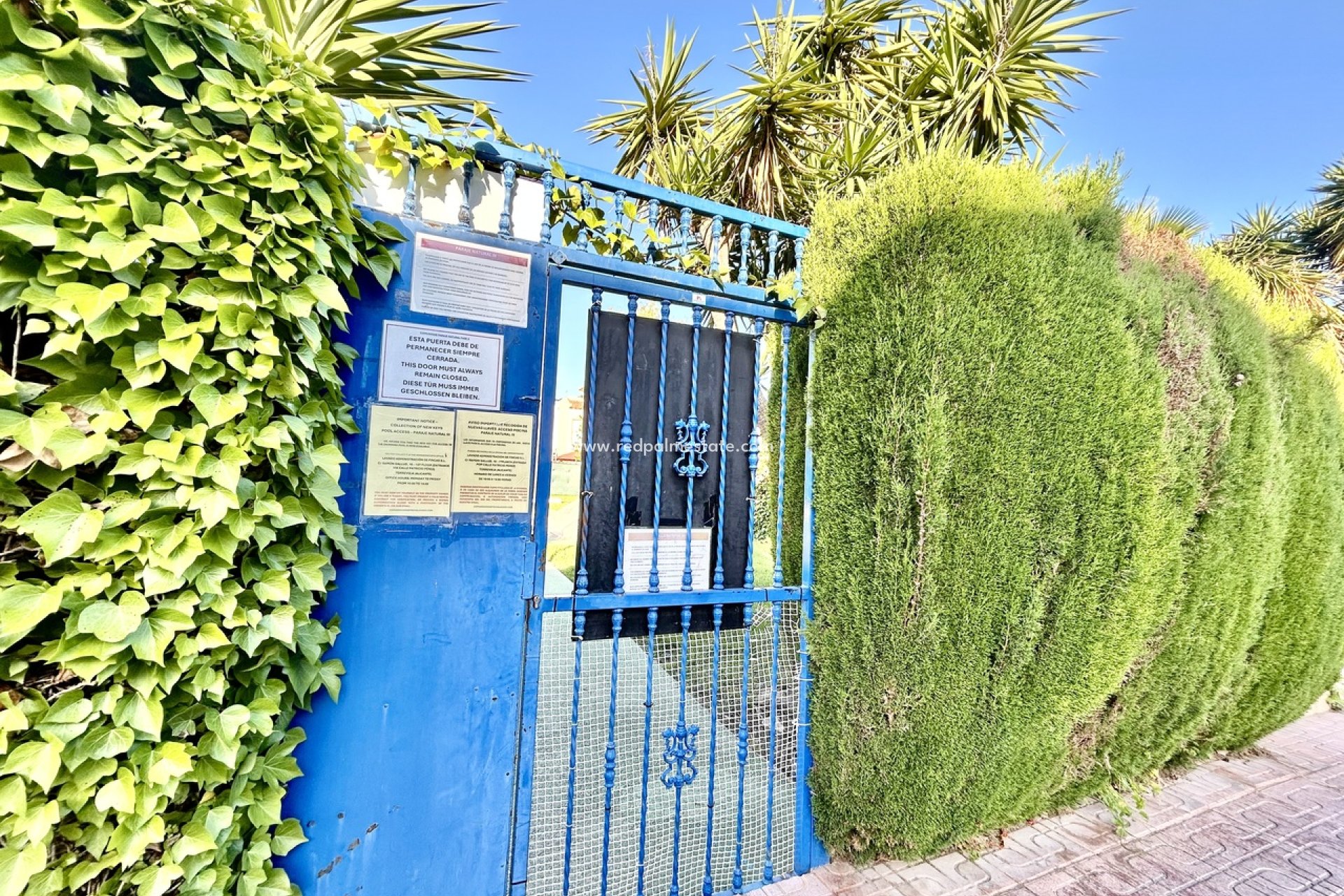 Videresalg - Leilighet -
Torrevieja