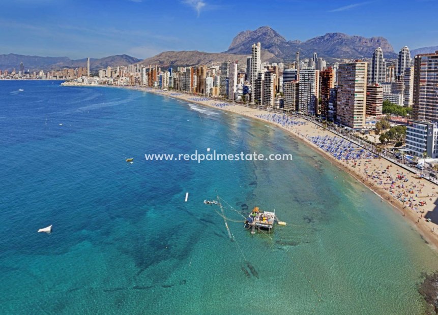 Videresalg - Leiligheter -
Benidorm - Costa Blanca
