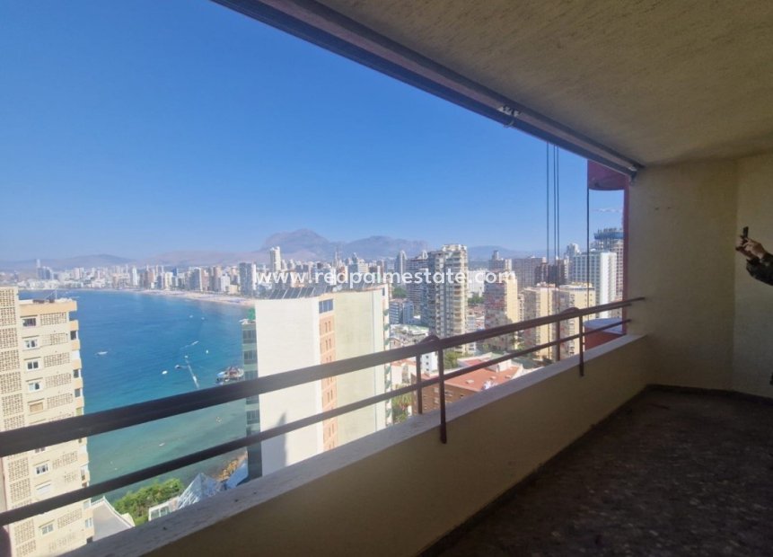 Videresalg - Leiligheter -
Benidorm - Costa Blanca