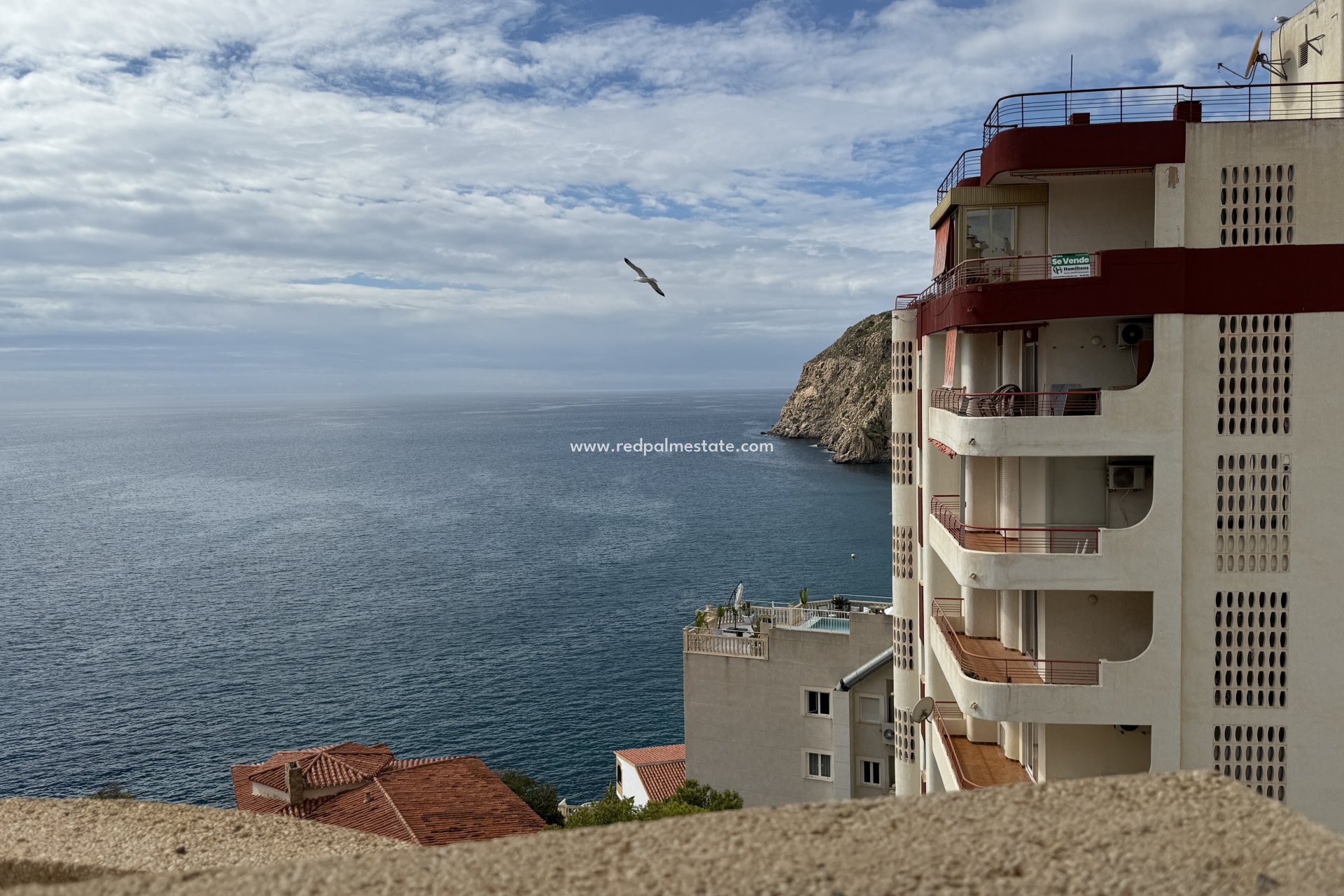 Videresalg - Leiligheter -
Benidorm - Costa Blanca