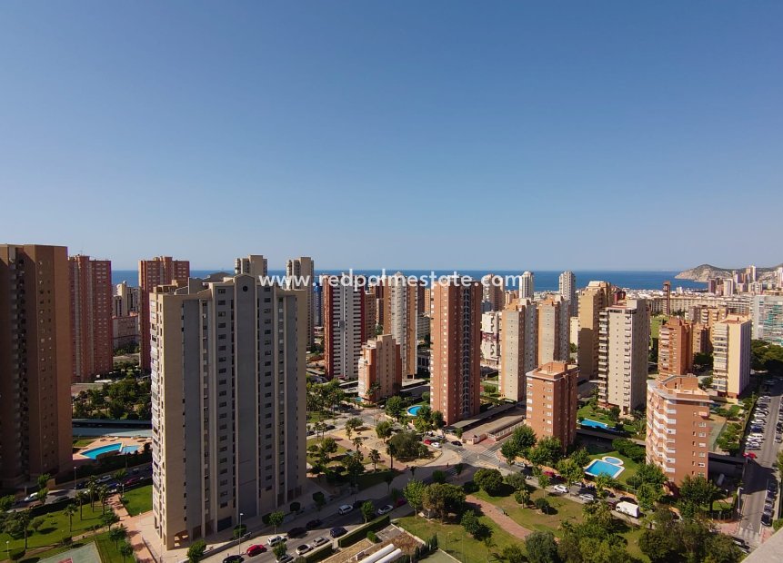 Videresalg - Leiligheter -
Benidorm