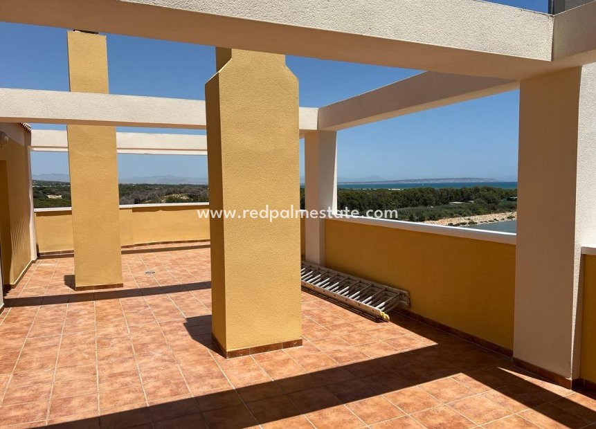 Videresalg - Leiligheter -
Guardamar del Segura - Puerto Deportivo