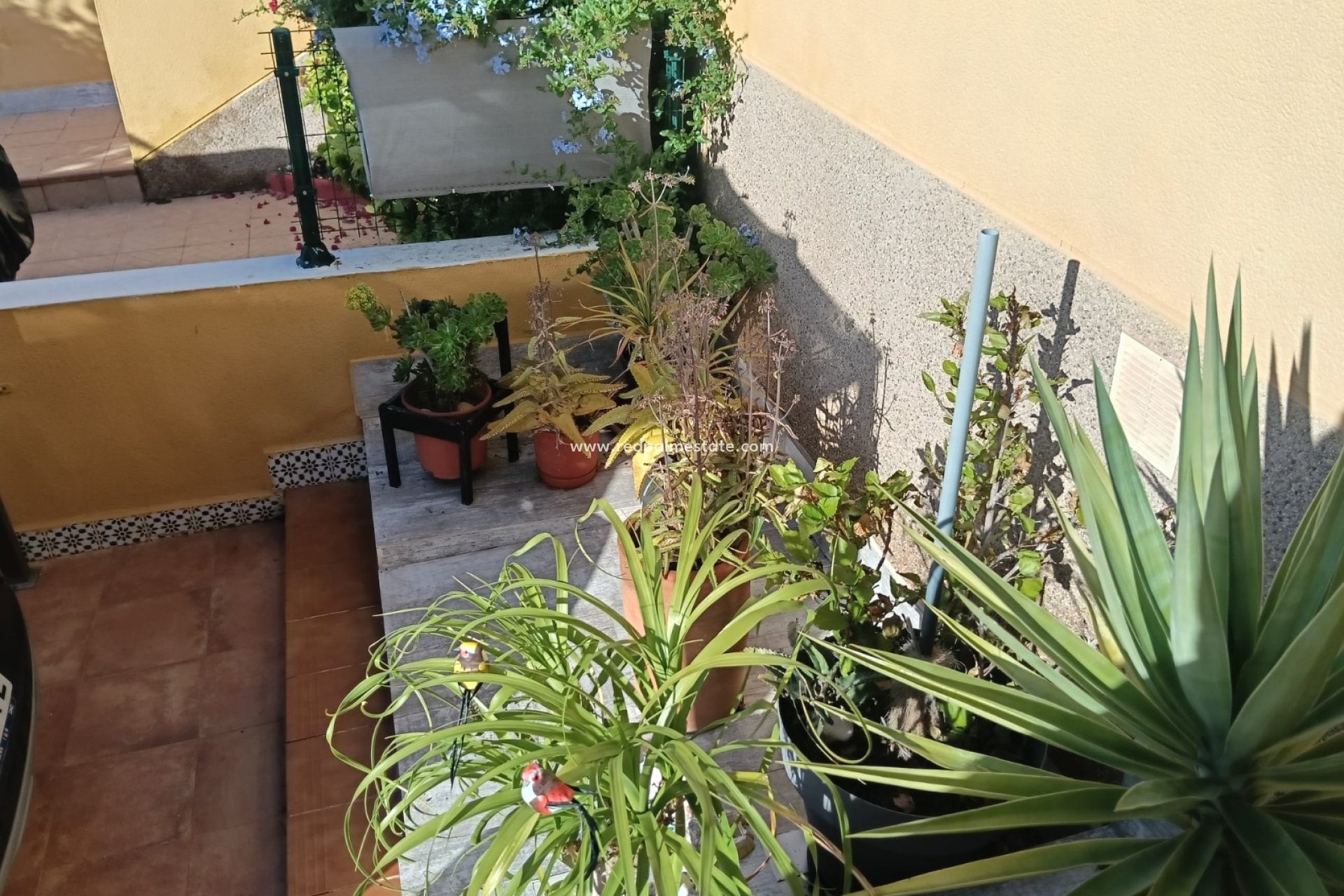 Videresalg - Leiligheter -
Montesinos - Los Montesinos