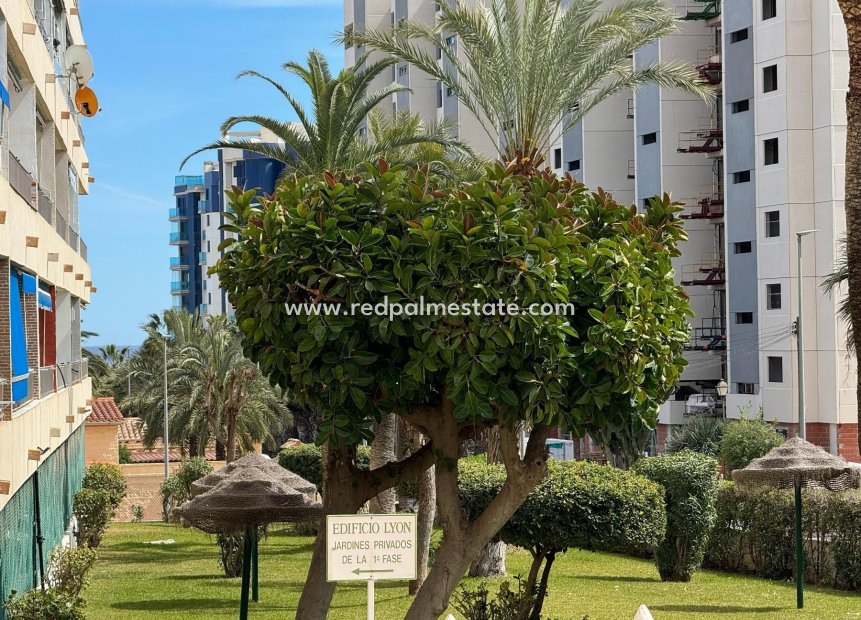 Videresalg - Leiligheter -
Orihuela Costa - Punta prima