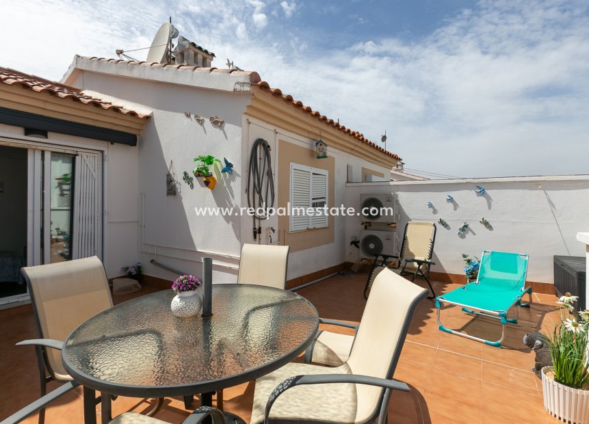 Videresalg - Leiligheter -
Playa Flamenca - Zenia Mar