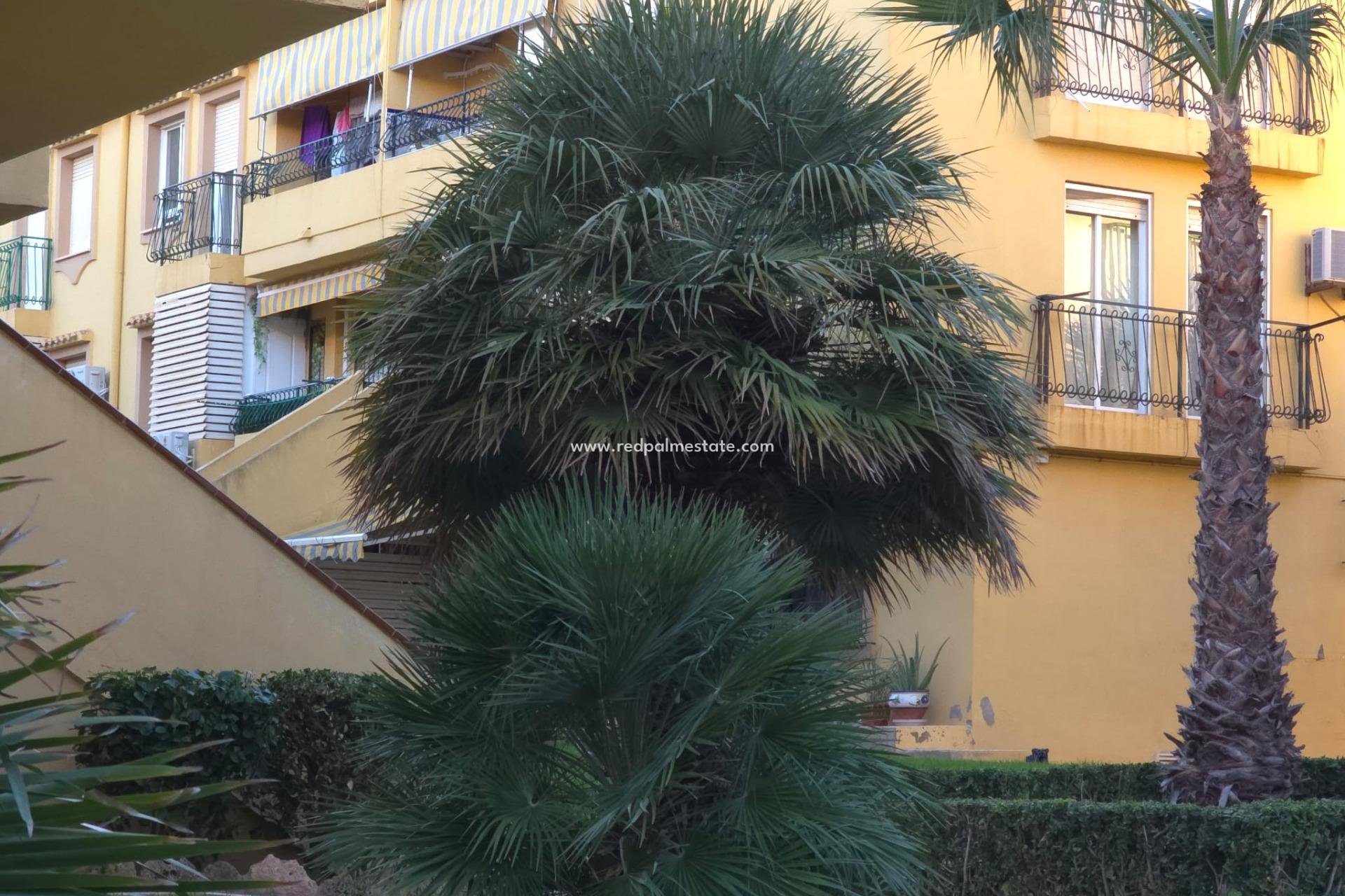 Videresalg - Leiligheter -
Torrevieja - Cala Ferris