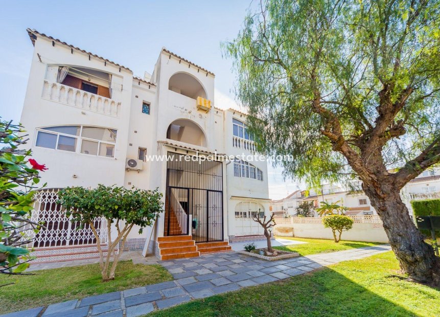 Videresalg - Leiligheter -
Torrevieja - Calas blanca