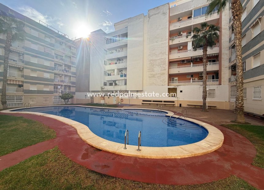 Videresalg - Leiligheter -
Torrevieja - Centro Torrevieja