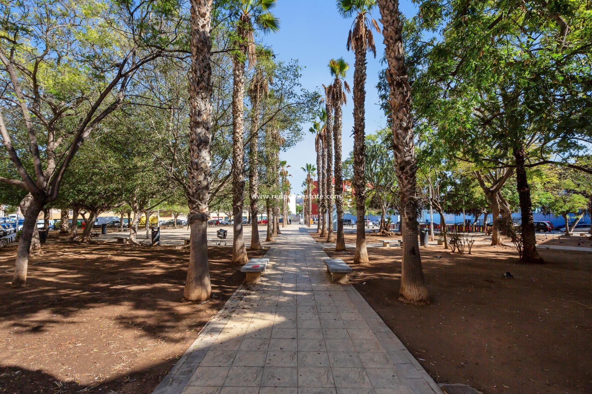 Videresalg - Leiligheter -
Torrevieja - Centro