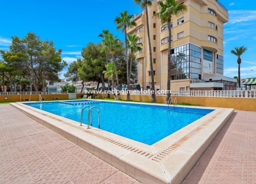 Videresalg - Leiligheter -
Torrevieja - Costa Blanca