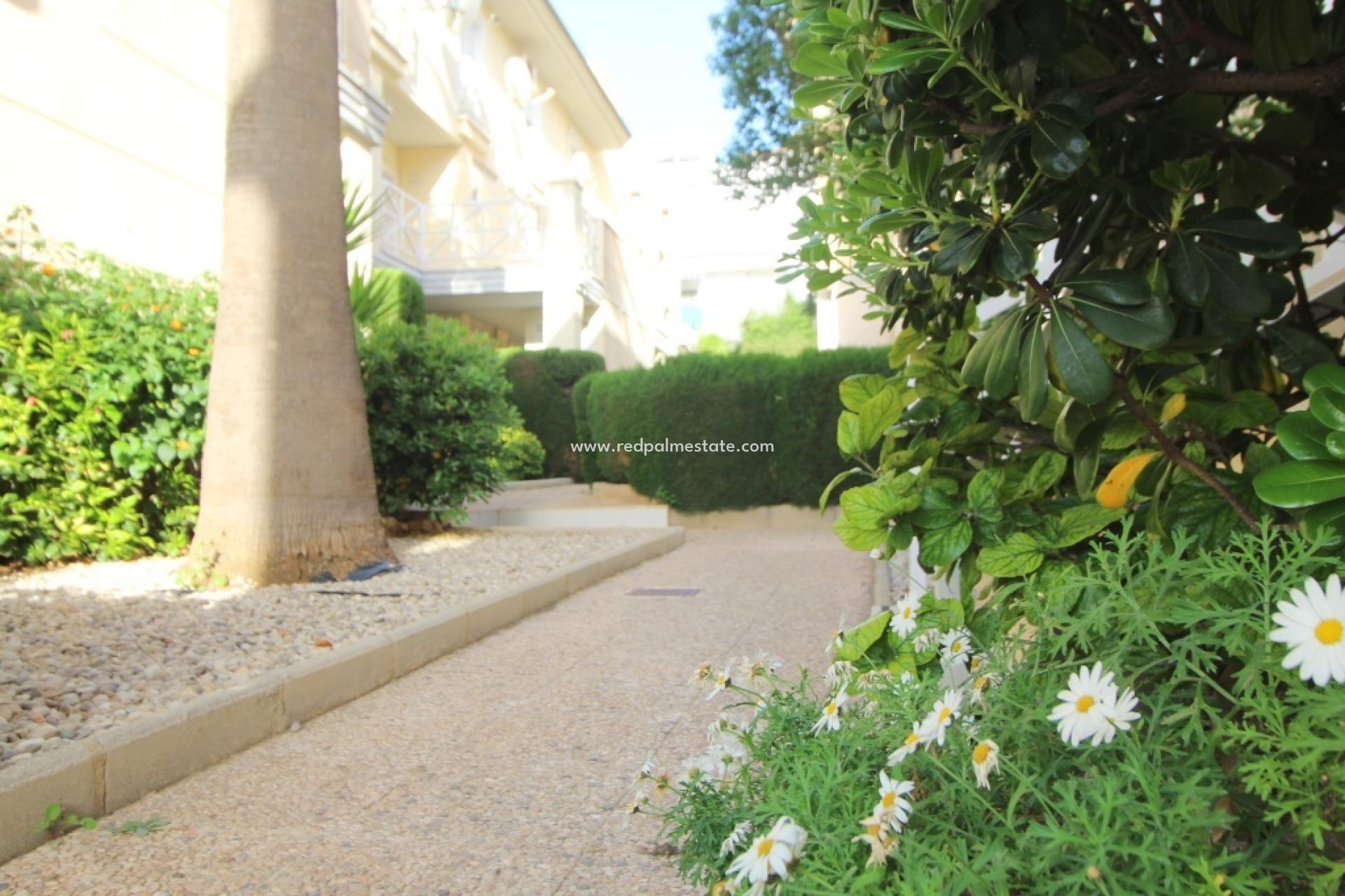 Videresalg - Leiligheter -
Torrevieja - La Veleta