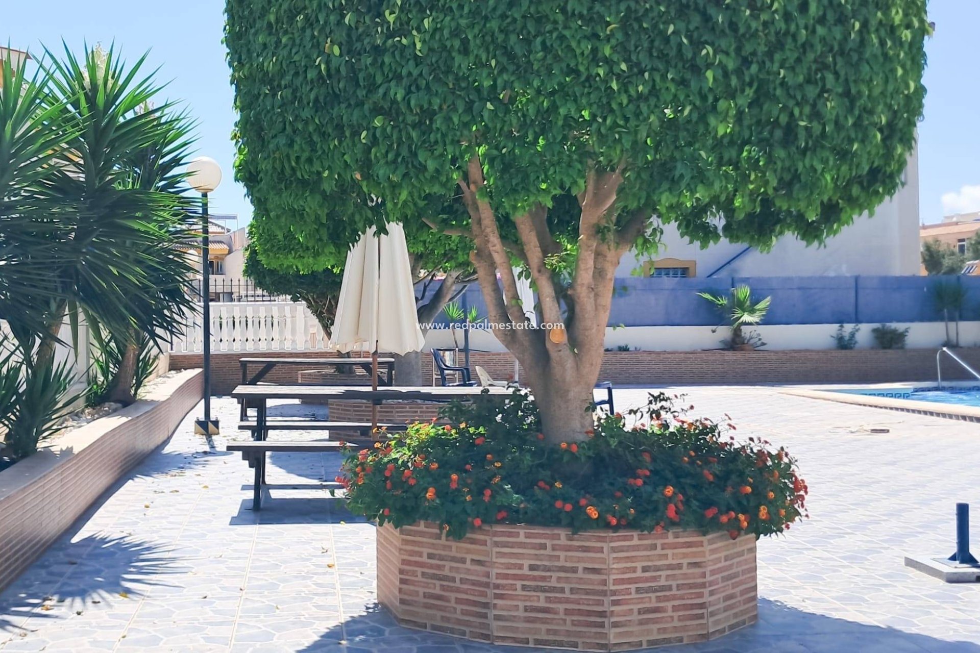 Videresalg - Leiligheter -
Torrevieja - Parque Acuático - Sector 25