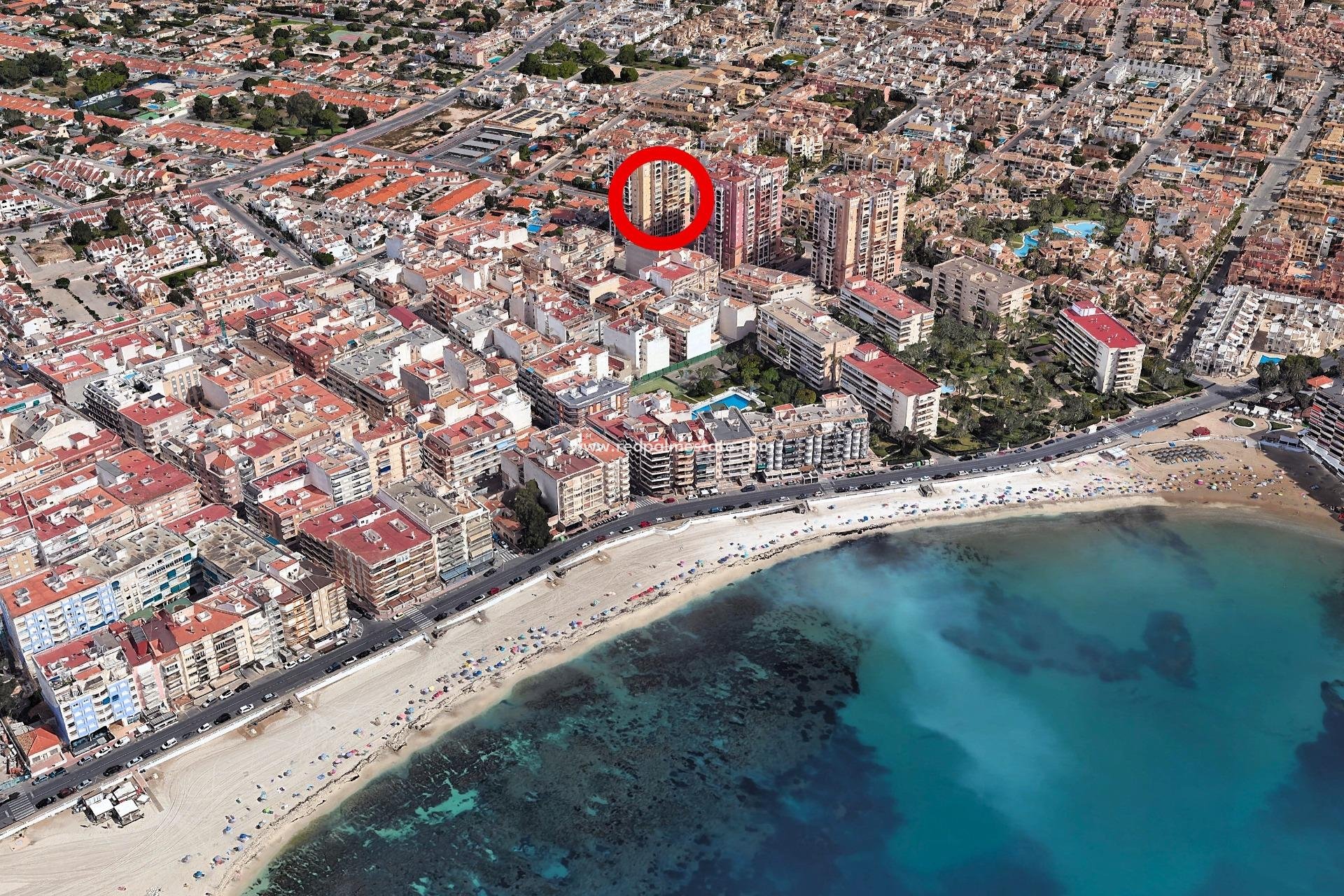 Videresalg - Leiligheter -
Torrevieja - Playa de los Locos