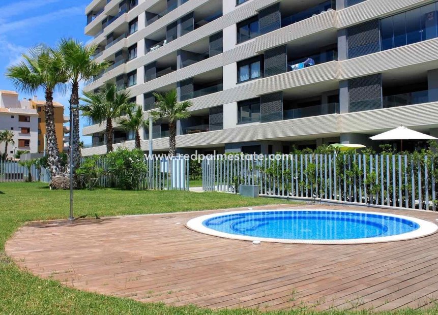 Videresalg - Leiligheter -
Torrevieja - Punta prima