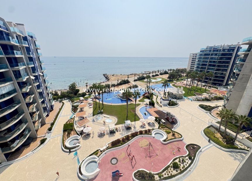 Videresalg - Leiligheter -
Torrevieja - Punta prima