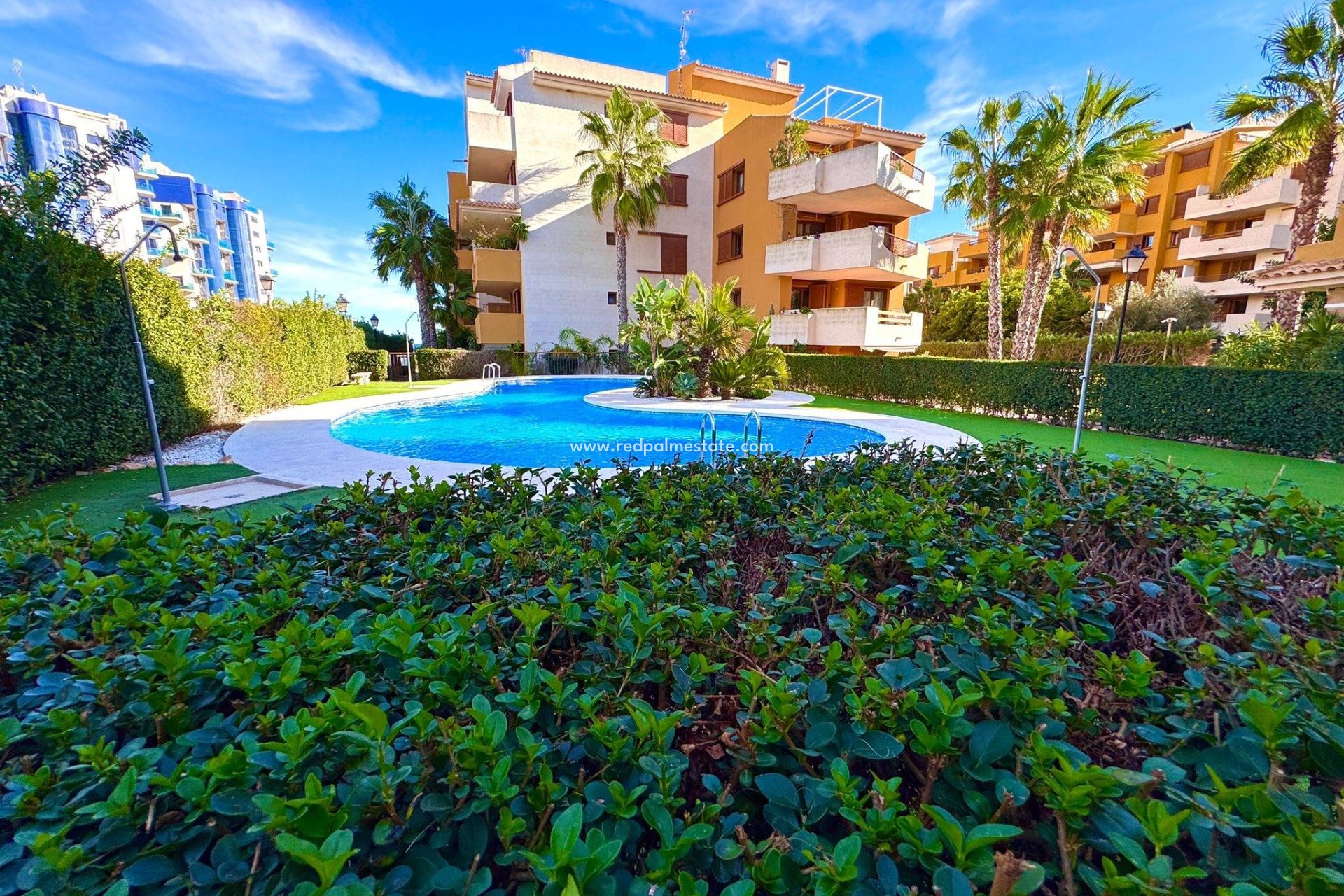 Videresalg - Leiligheter -
Torrevieja - Punta prima