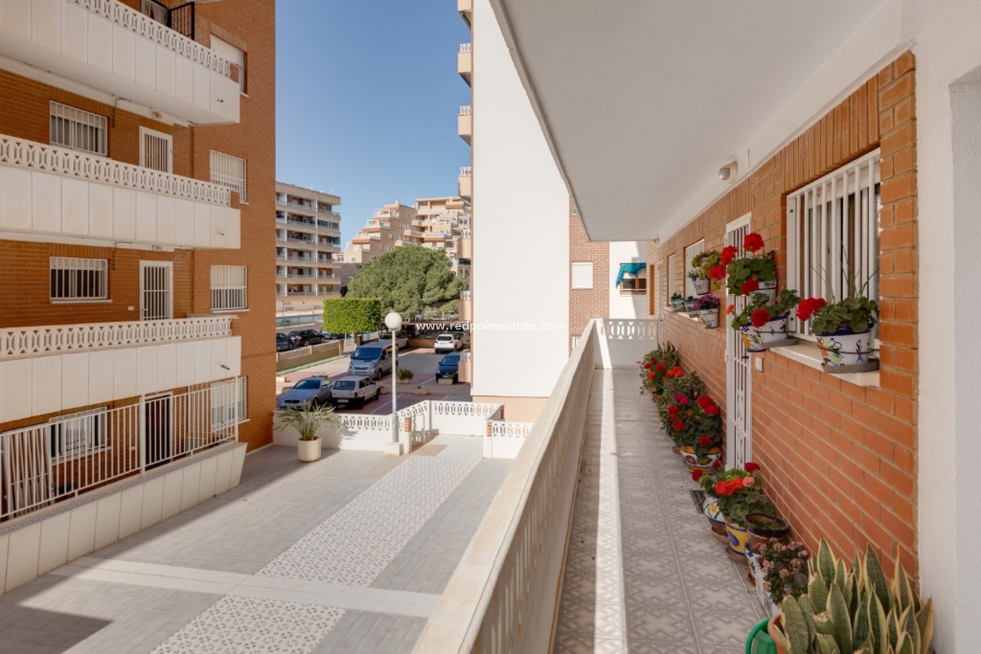 Videresalg - Leiligheter -
Torrevieja - Punta prima