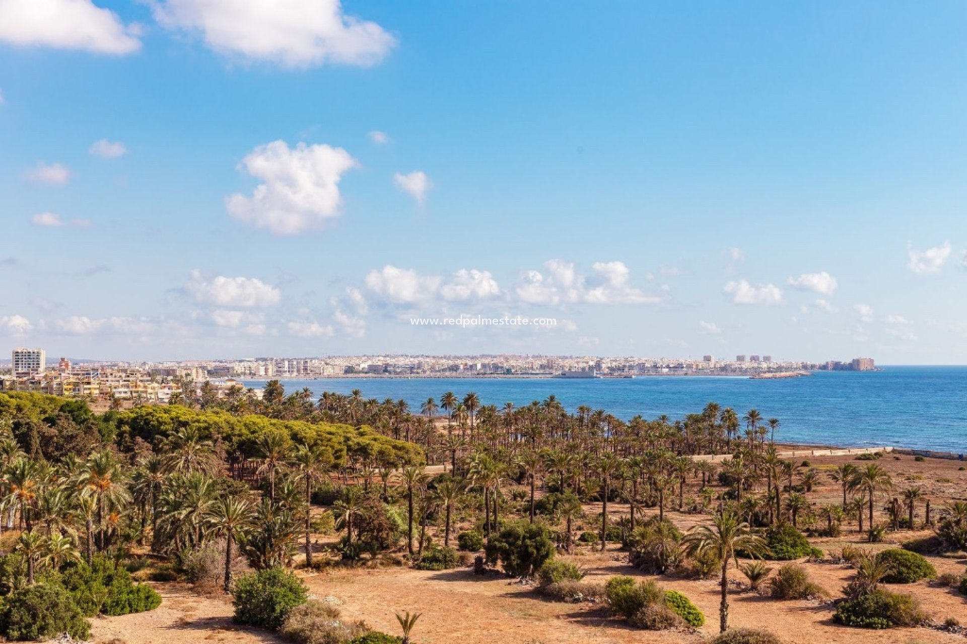 Videresalg - Leiligheter -
Torrevieja - Punta prima