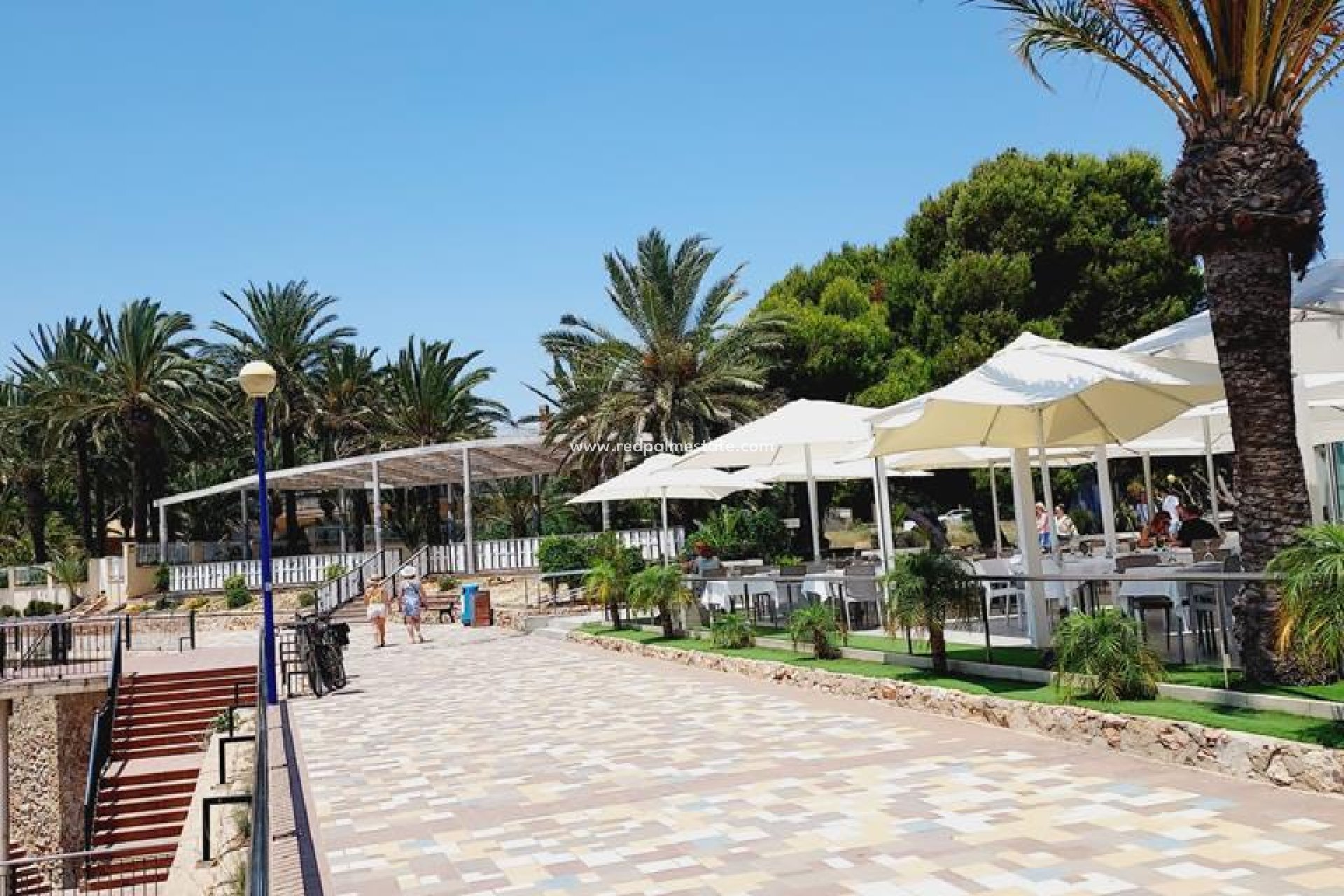 Videresalg - Leiligheter -
Torrevieja - Punta prima