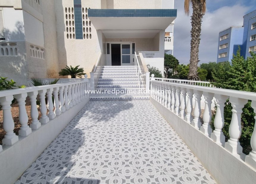 Videresalg - Leiligheter -
Torrevieja - Torreblanca