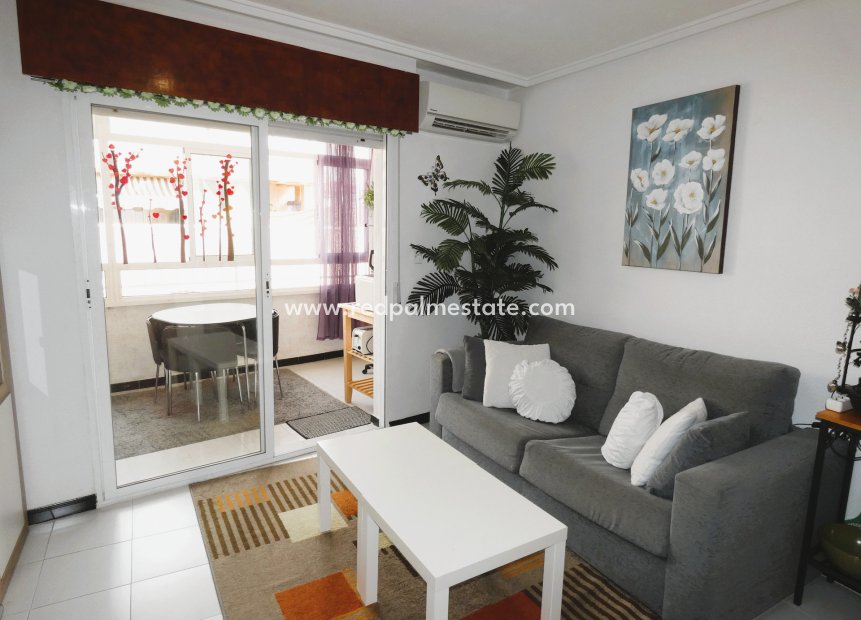 Videresalg - Leiligheter -
Torrevieja