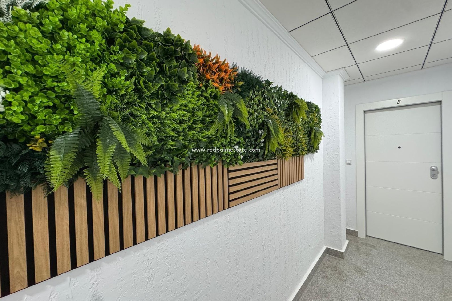 Videresalg - Leiligheter -
Torrevieja