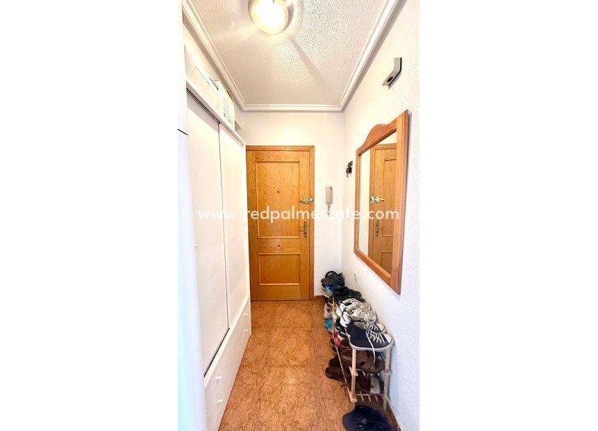 Videresalg - Leiligheter -
Torrevieja