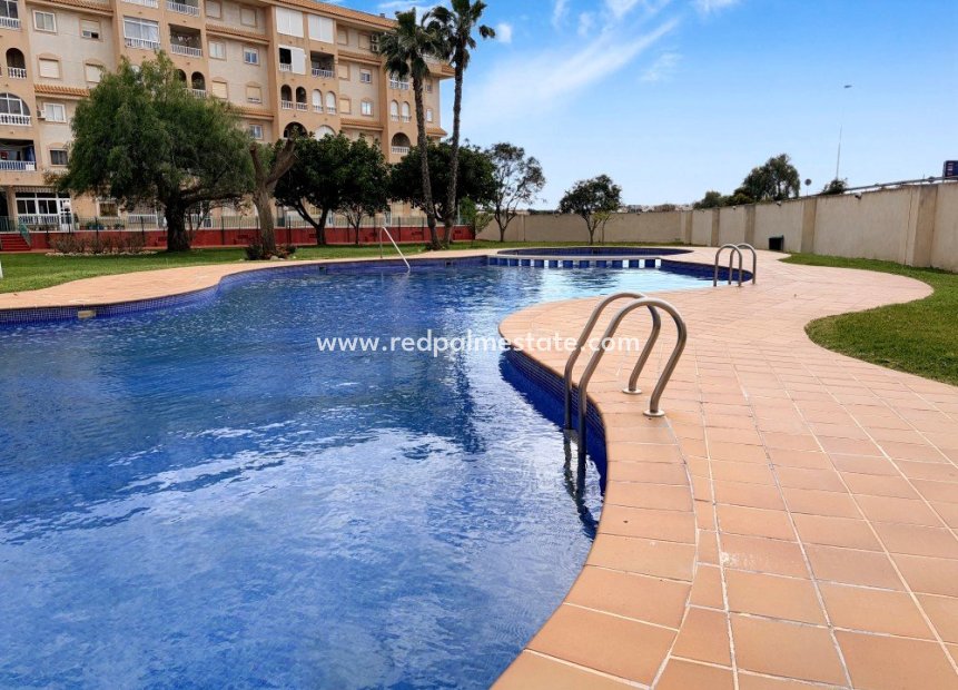 Videresalg - Leiligheter -
Torrevieja