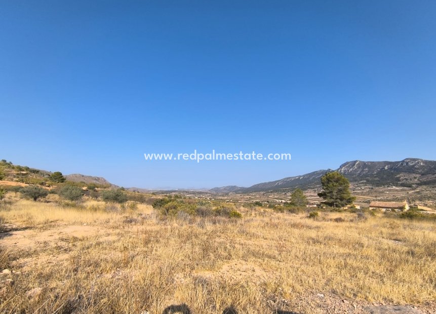 Videresalg - Plott -
Algueña - Inland
