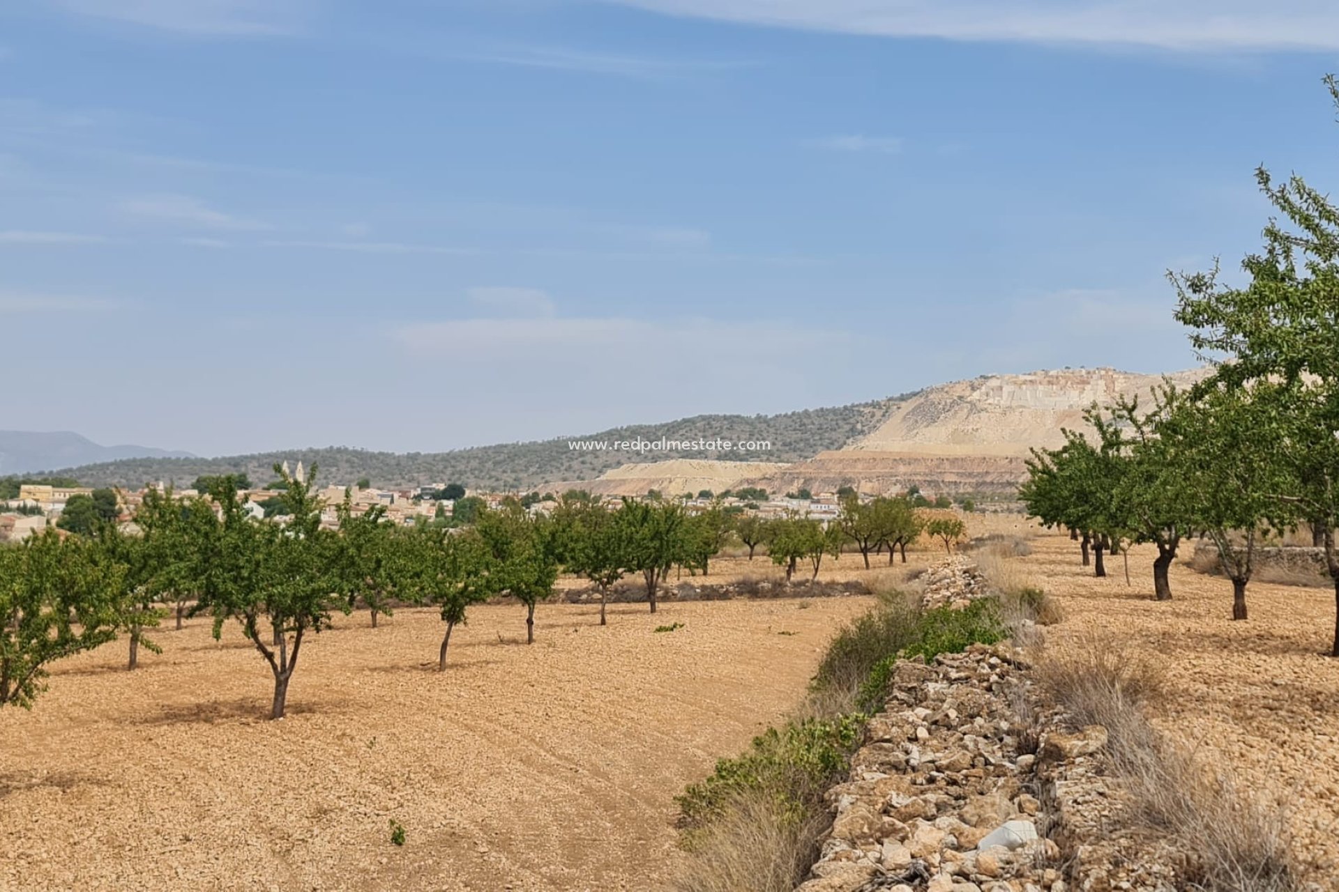 Videresalg - Plott -
Algueña - Inland