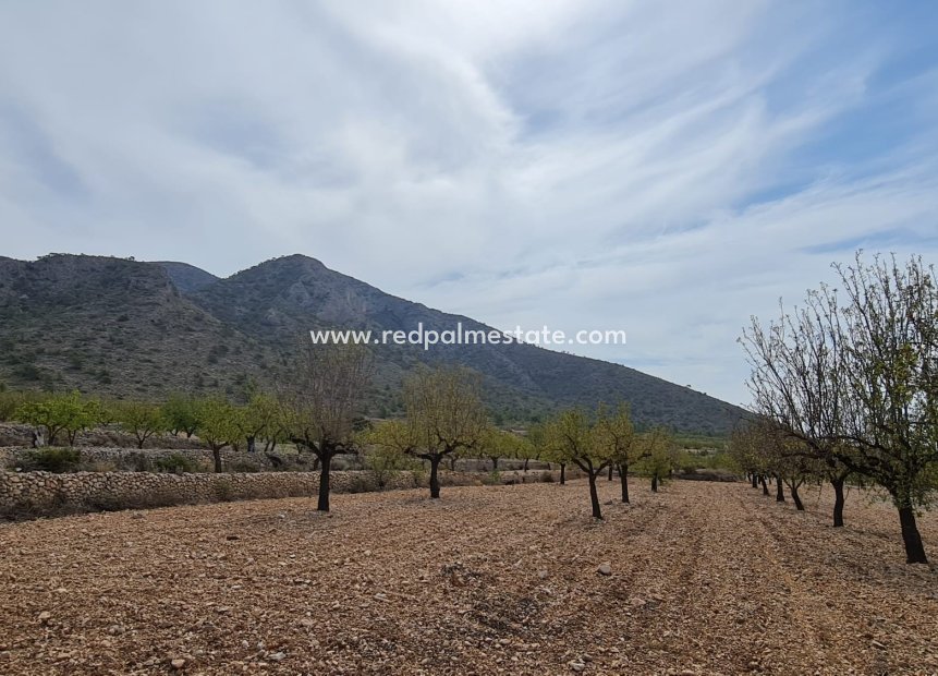Videresalg - Plott -
Algueña - Inland