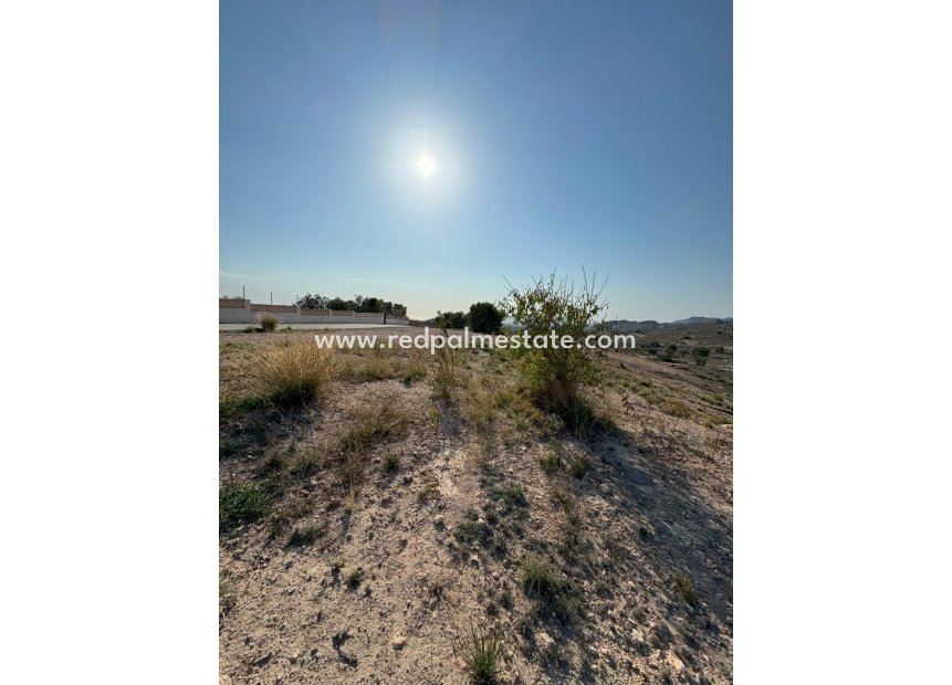 Videresalg - Plott -
Alicante - Costa Blanca