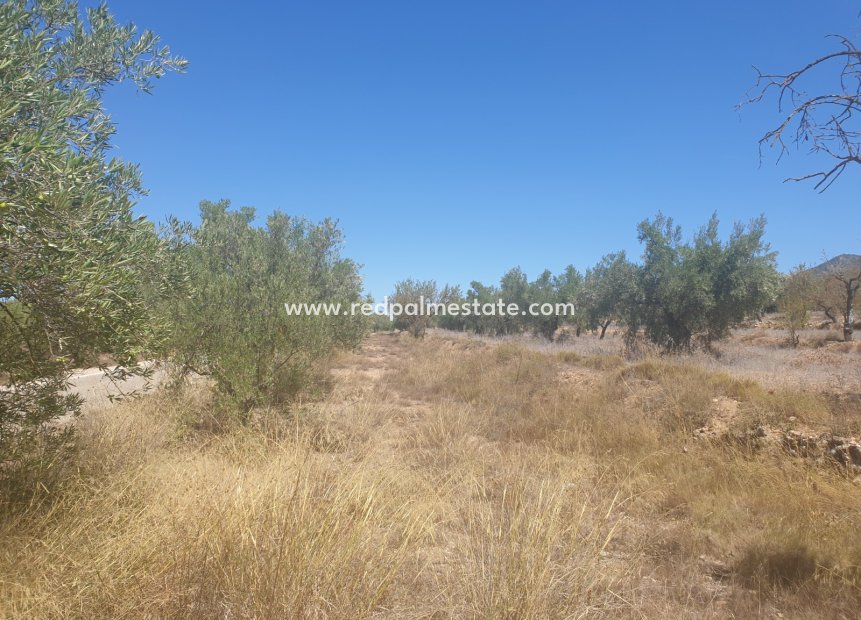 Videresalg - Plott -
Biar - Inland